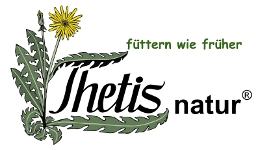 thetis-logo-color-schrift